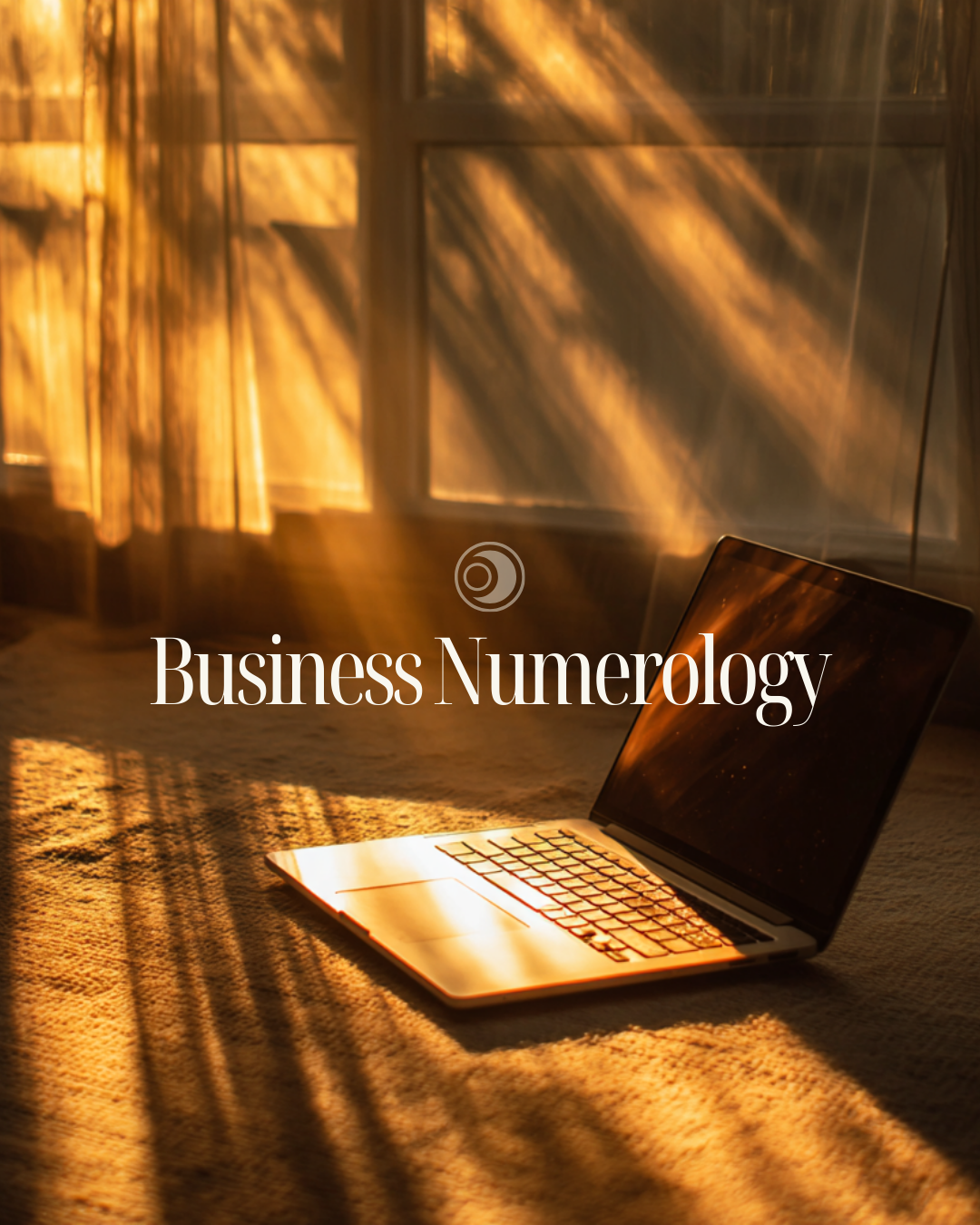 Business Numerology Consultation