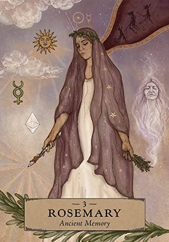 Herbal Astrology Oracle Cards Hay House