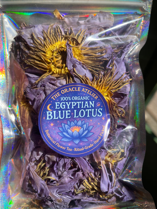 Egyptian Blue Lotus - whole flower - botanical ceremonial tea.