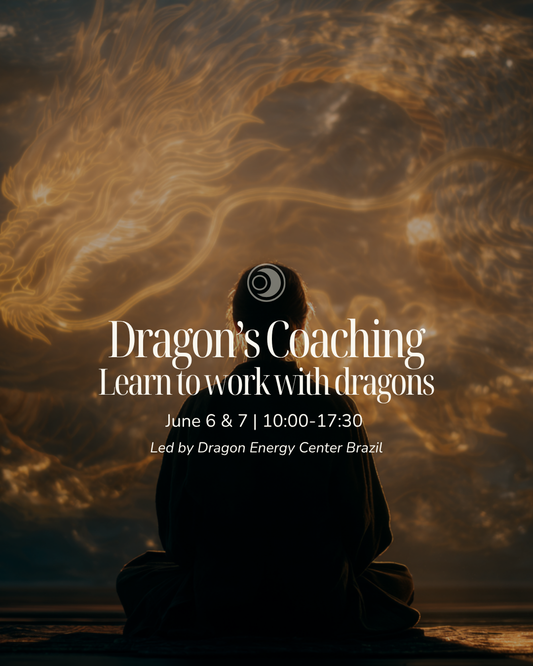 Dragon Coaching Weekend | Dragon Energy Center Brazil | June 6-7 | Amsterdam