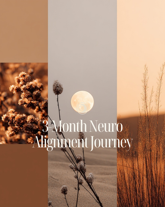 3-Month Neuro Alignment Journey | Amsterdam & Online