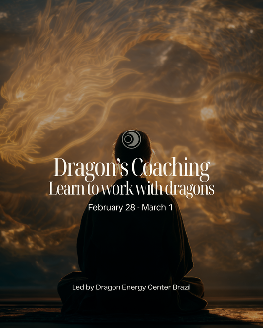 Dragon Coaching Weekend | Dragon Energy Center Brazil