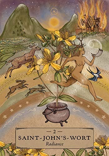 Herbal Astrology Oracle Cards Hay House