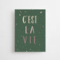 POSTCARD: C'EST LA VIE