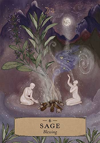 Herbal Astrology Oracle Cards Hay House