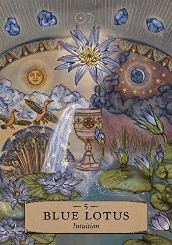Herbal Astrology Oracle Cards Hay House